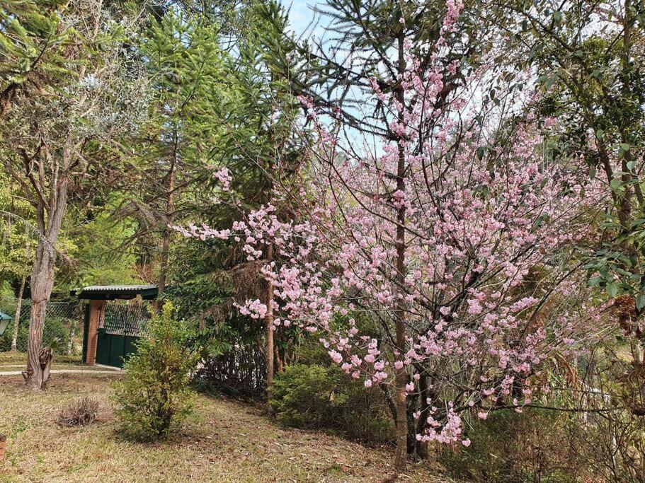 Casa Da Nanna Campos Villa Campos do Jordão Exteriör bild